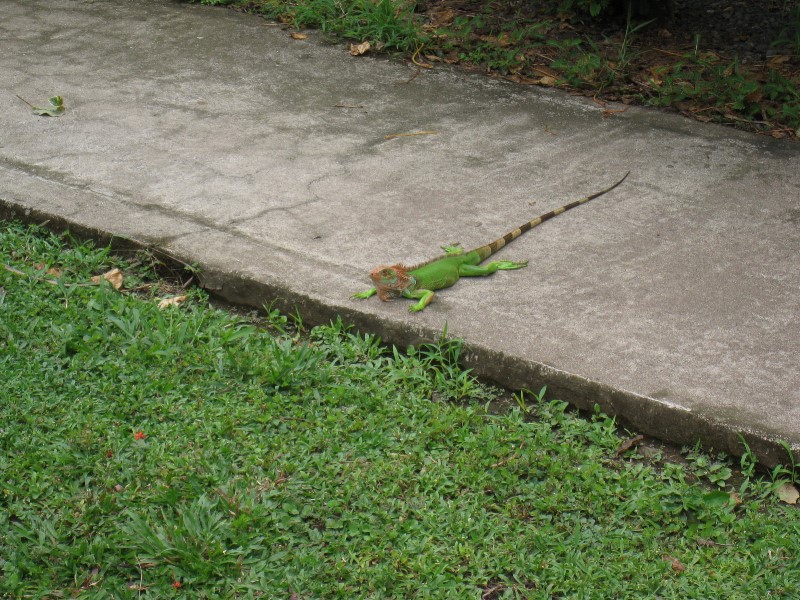 ../Images/Hotel Tangeri Pets.jpg